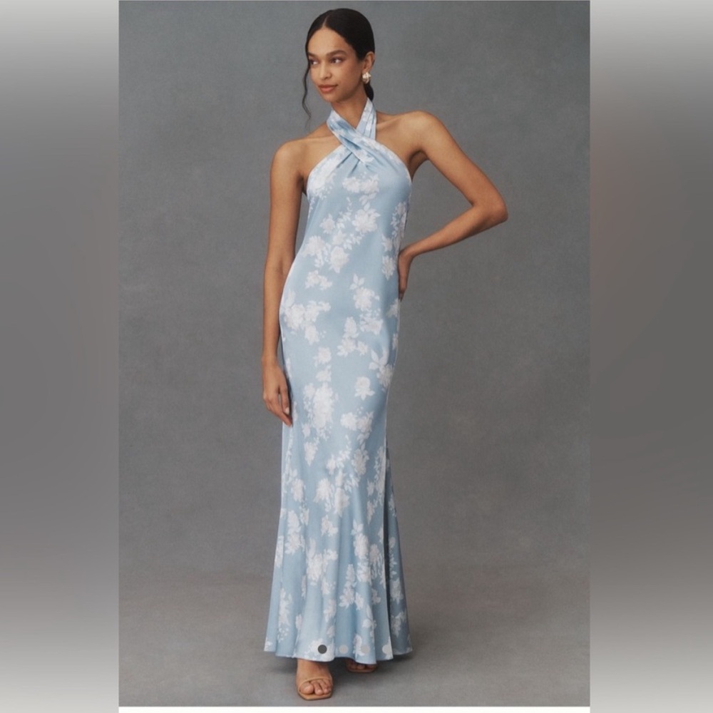 BHLDN Blue and White Floral Maxi Dress